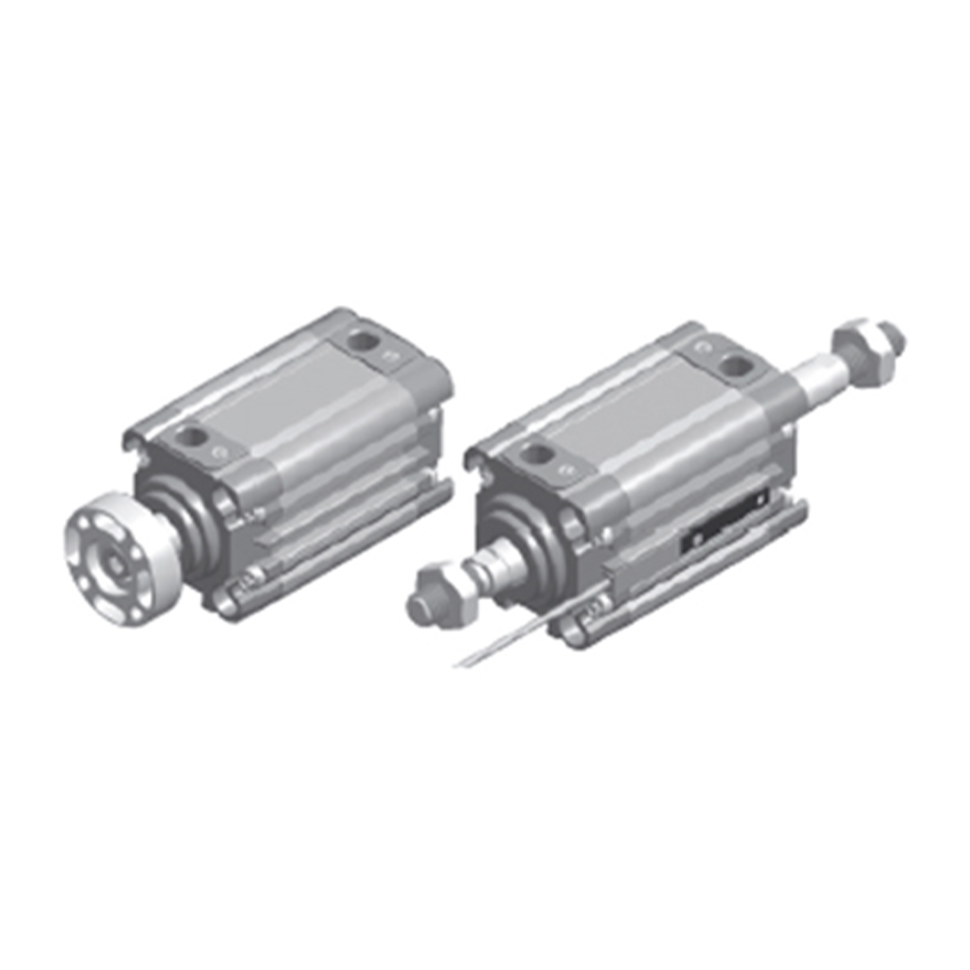 RS/RQ Compact cylinder